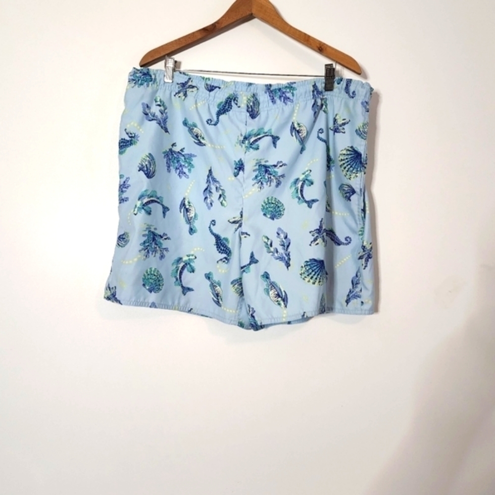 Brooks Brothers swim trunks
